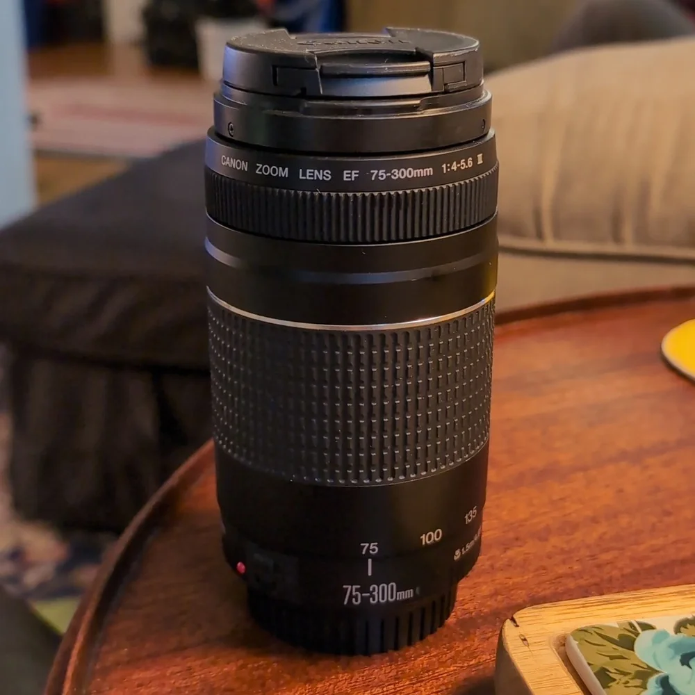 Canon EF 75-300mm f/4-5.6 III Telephoto Zoom Lens (Used, Like New, No Box)